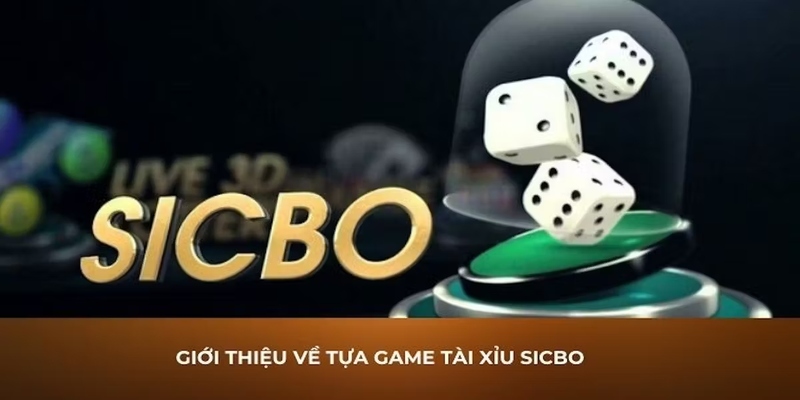 Đôi nét bao quát về casino trực tuyến EVO