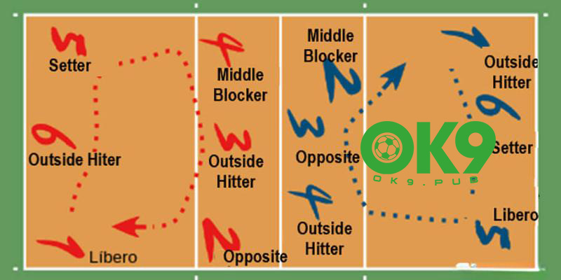Vị trí các cầu thủ trong bóng chuyền bao gồm những ai