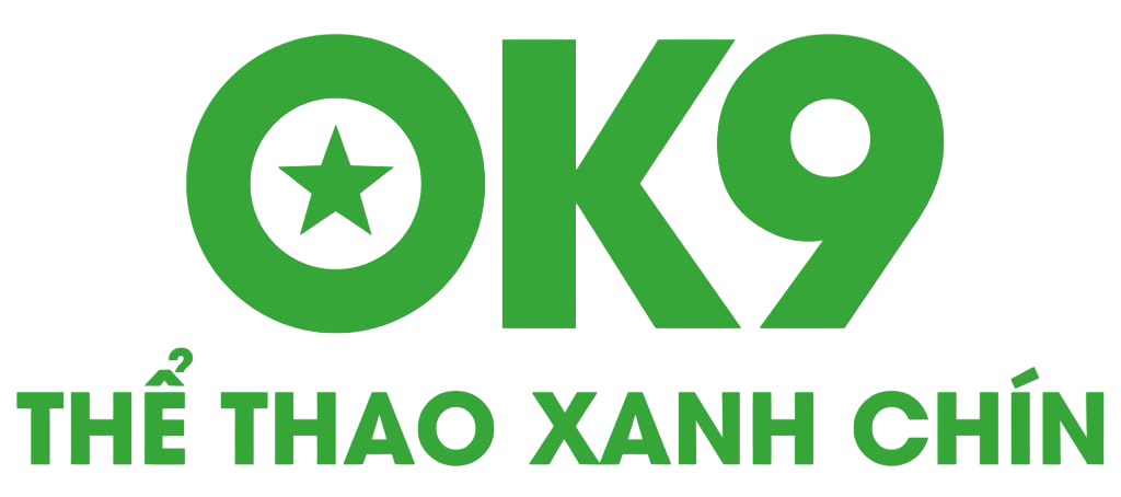 ok9.pub